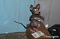 VBS_7107 - Mondo Babonzo